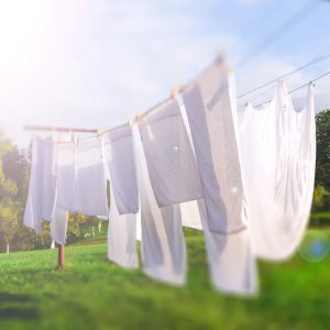 Classic Cotton Reed Diffuser