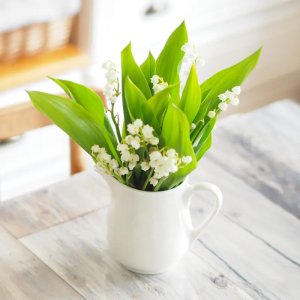 Lily Of The Valley Reed Diffuser