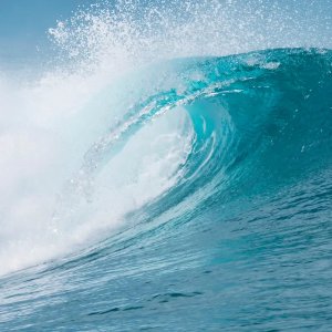 Ocean Splash Reed Diffuser