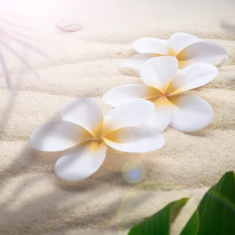 Tiare Flower Reed Diffuser