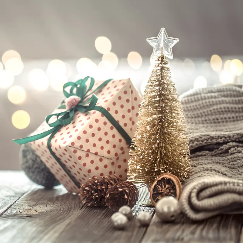 Christmas Joy Reed Diffuser