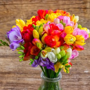 Freesia Reed Diffuser