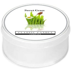 Sweet Grass MiniLight Candle