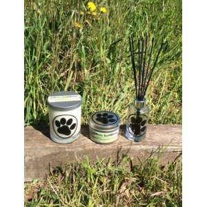 Pet Candles Citrus Sunshine Reed Diffuser