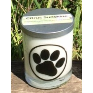 Pet Candles Citrus Sunshine Glass Tumbler