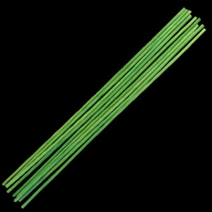 Pack Of Reeds X 26Cm Reeds Green