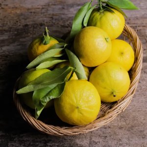 Bergamot And Holy Basil Reed Diffuser Refill