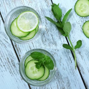 Cucumber Mint Reed Diffuser Refill