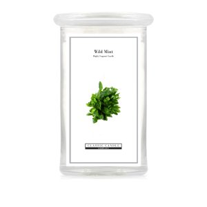 Wild Mint 2 Wick Large Jar