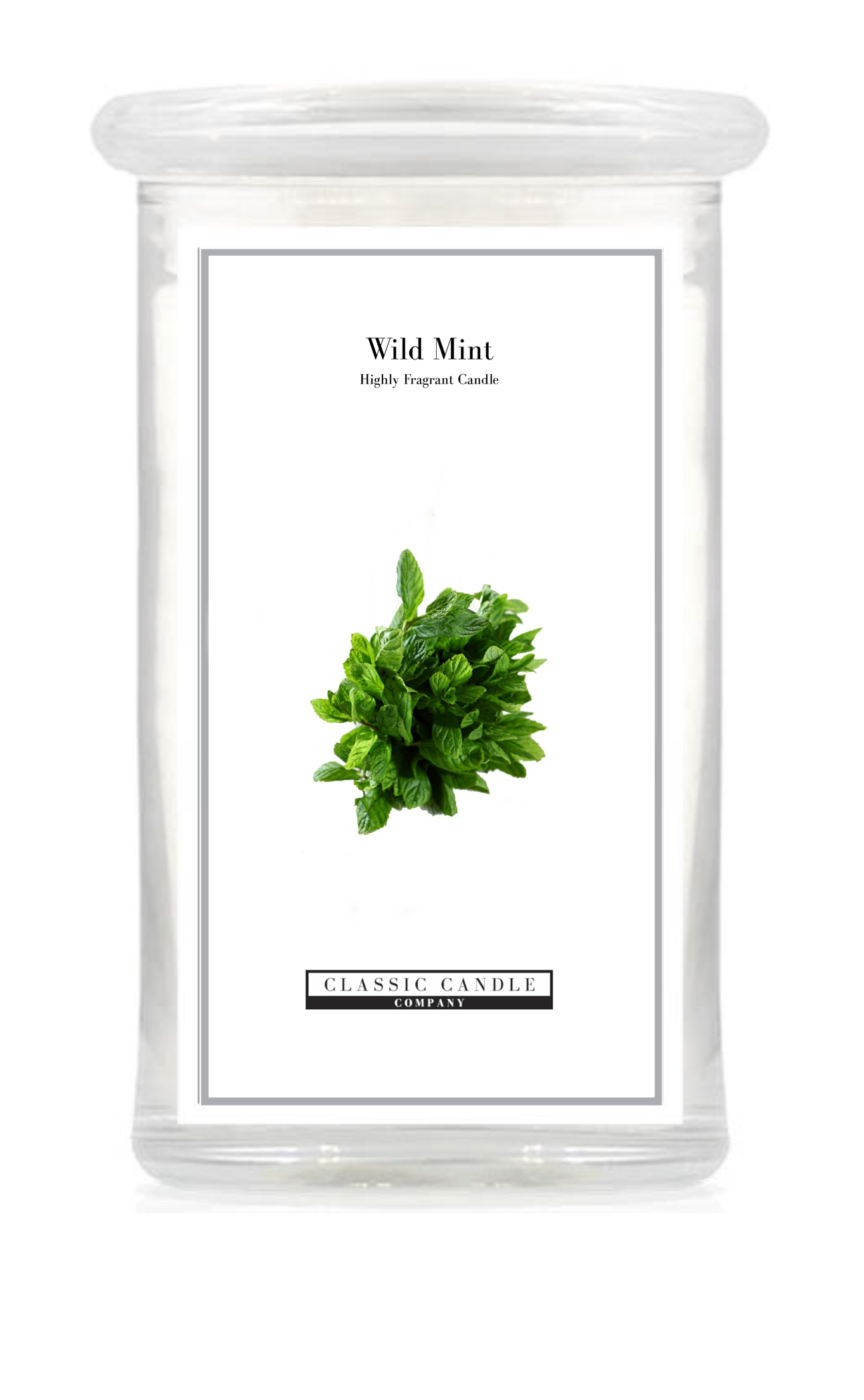 Wild Mint 2 Wick Large Jar