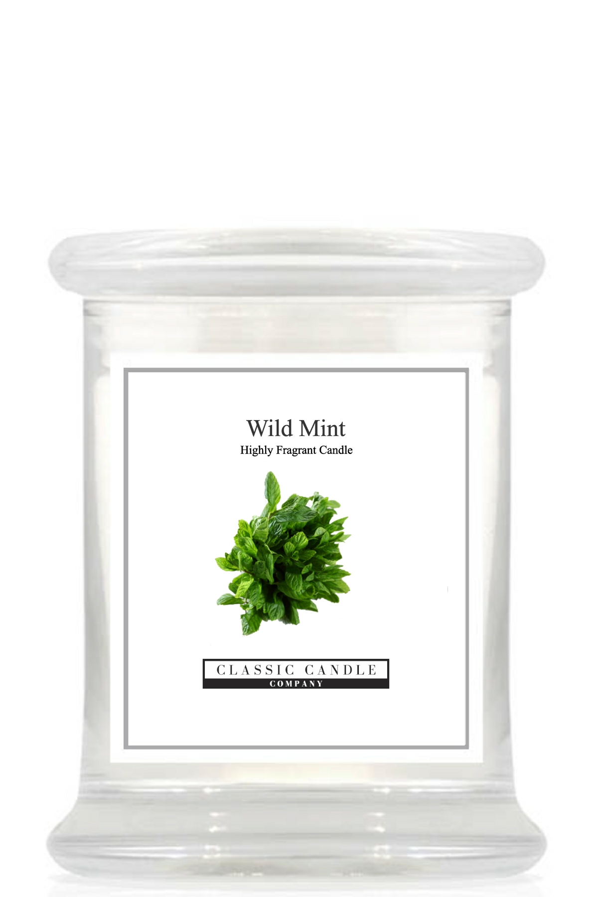 Wild Mint Medium Jar