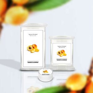 Apricot Orchard MiniLight Candle