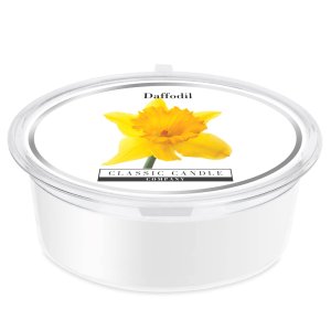 Daffodil MiniPot Wax Melt