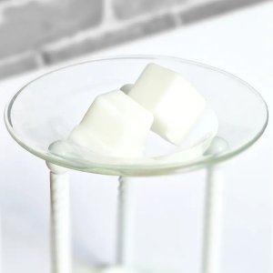 2 Blocks Of Wax Melt In A Burner