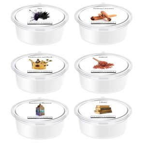 6 Musk Spice MiniPot Wax Melt Collection