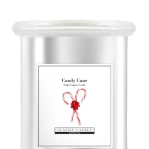 Candy Cane Medium Jar In Silver