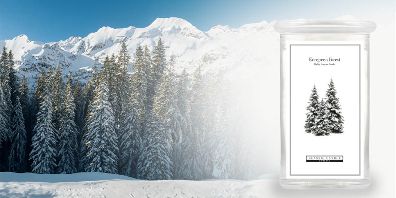 Evergreen Forest Banner