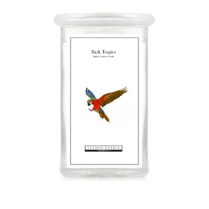 2 Wick Large Jar