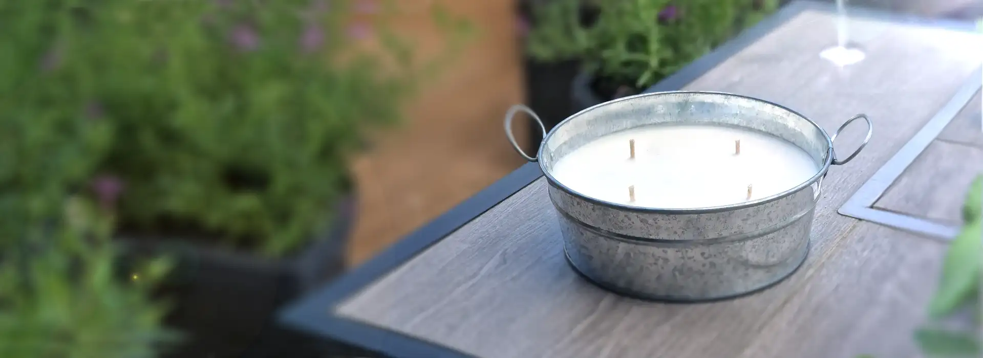 Citronella