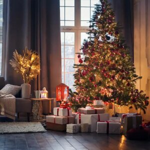 Christmas Evening Reed Diffuser Refill