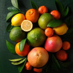 Citrus Squeeze Reed Diffuser Refill