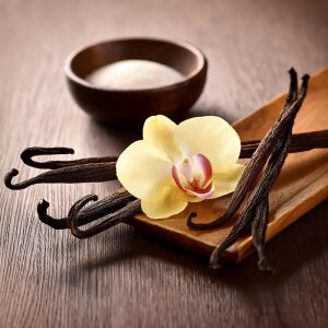 Vanilla Sandalwood Reed Diffuser Refill