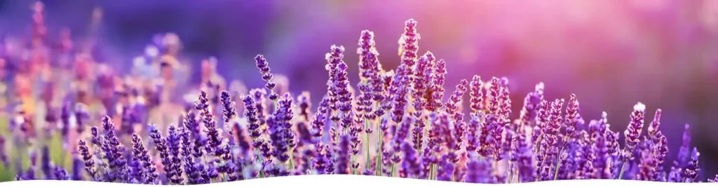 Relax, Soothing, Relaxation