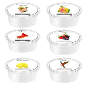 6 Juicy MiniPot Wax Melt Collection