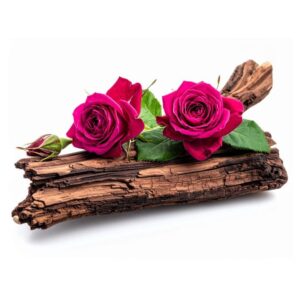 Rose Oud