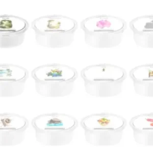 12 wax melt set